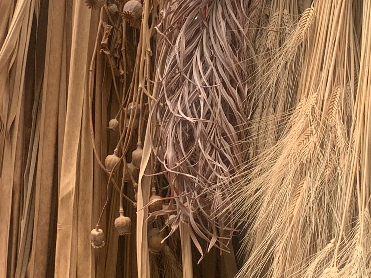 texturas para producir flores eternas y buquet